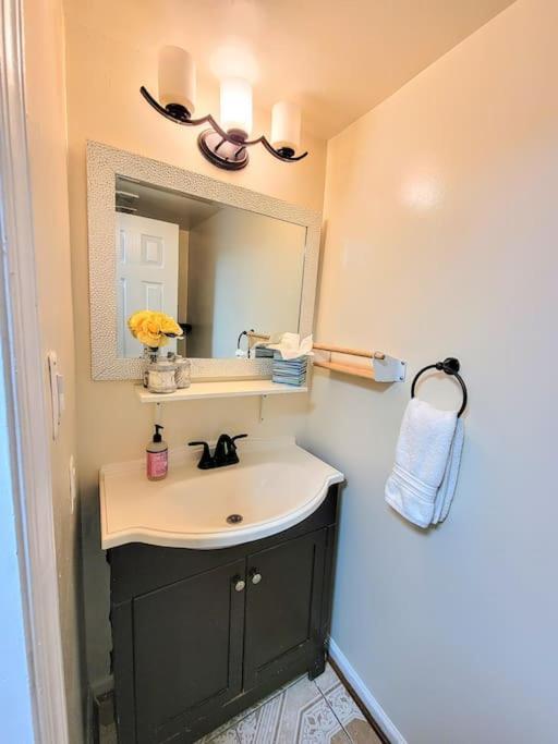 Nice 2 Bdr 2 Bath Near Airport With Fast Wifi And Parking Herndon Exterior foto